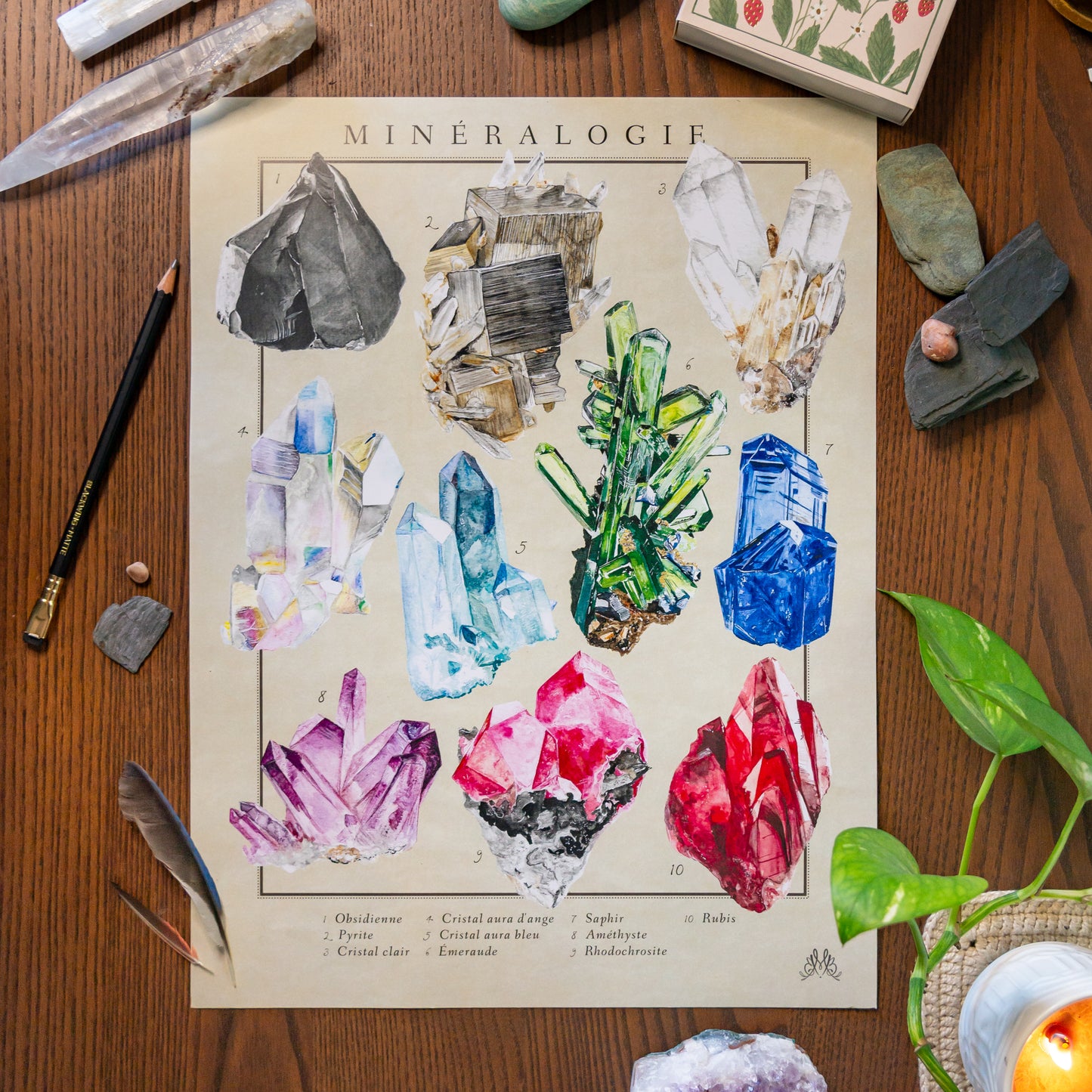 Mirella Bacco illustrations