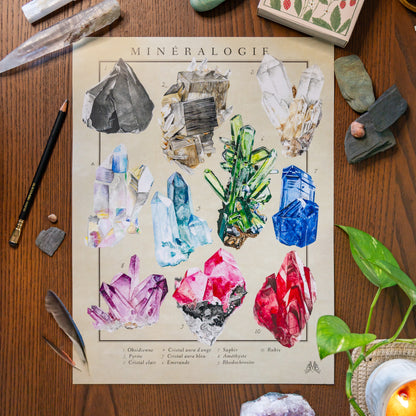 Mirella Bacco illustrations