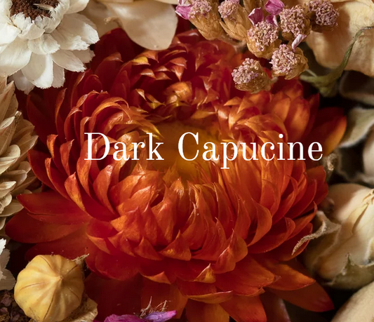Dark Capucine