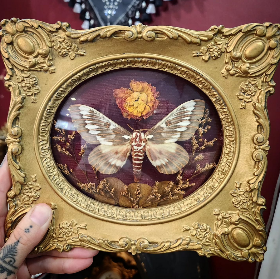 The Cursed Raven