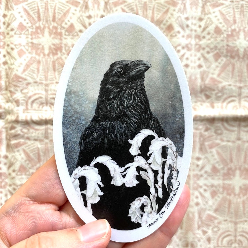Illustrations Anne Sea