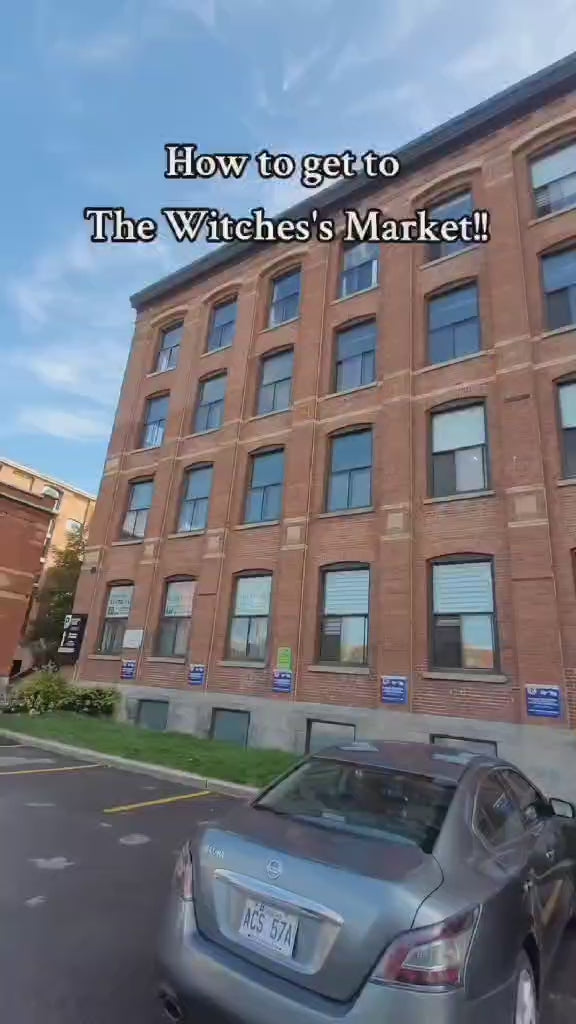 Charger la vidéo : 